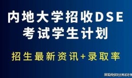 大蓉要努力最新爆料,揭秘努力背后的故事与挑战